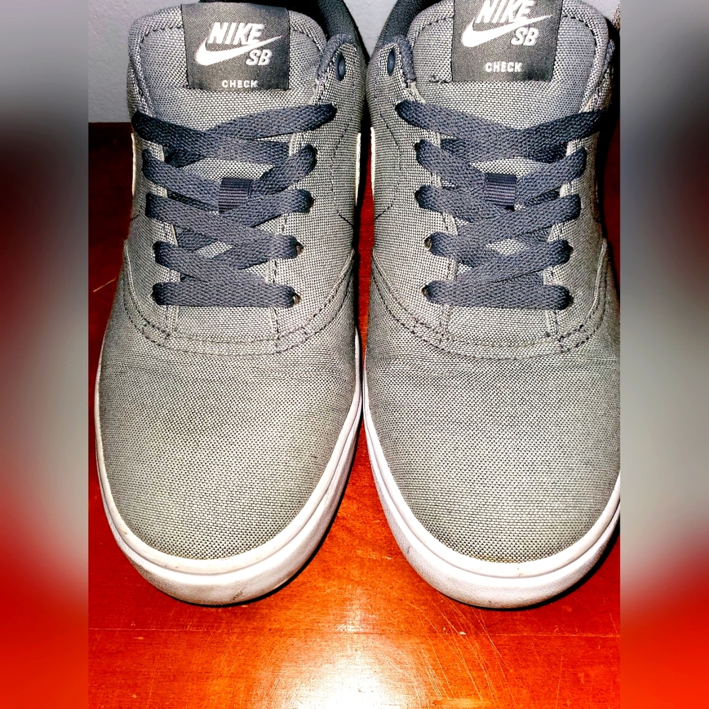 Nike SB Canvas sneakers